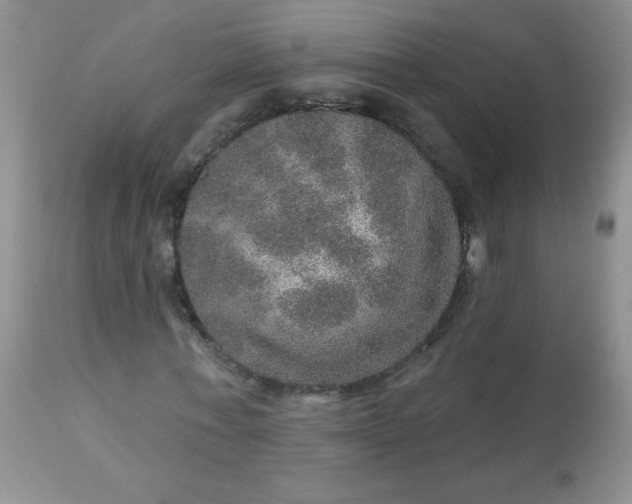 X0000113570771200910091438