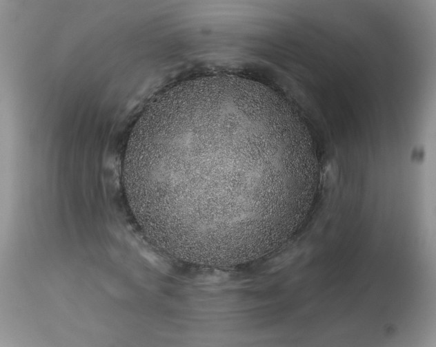 X0000113570772200910091438