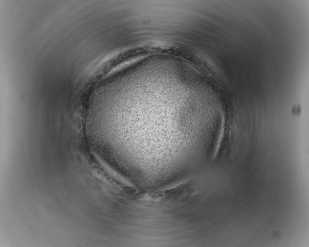 X0000113570773200910091438