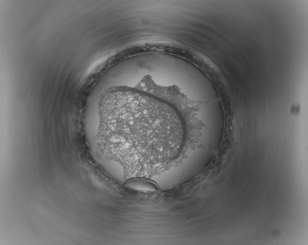 X0000113570775200910091438