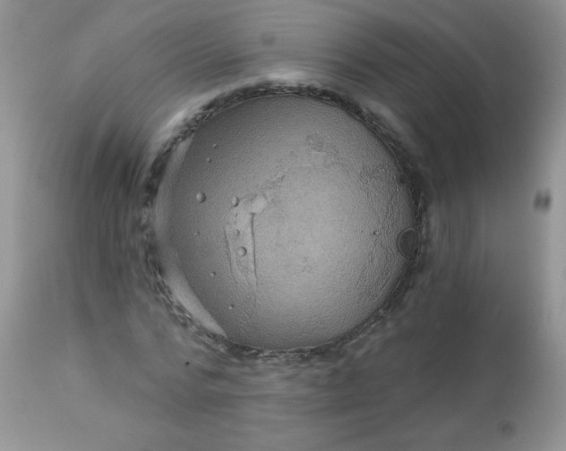 X0000113570776200910091438