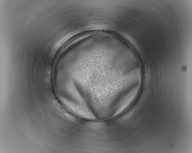 X0000113570778200910091438