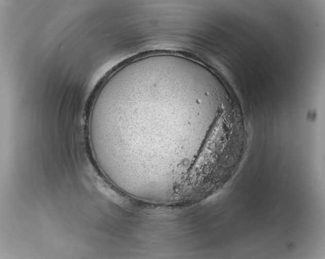 X0000113570779200910091438