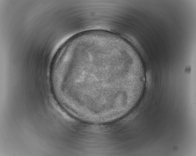 X0000113570780200910091438