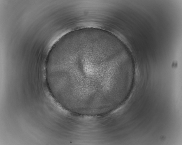 X0000113570782200910091438