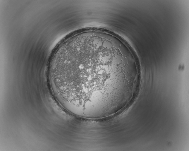 X0000113570783200910091438