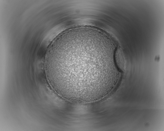 X0000113570785200910091438