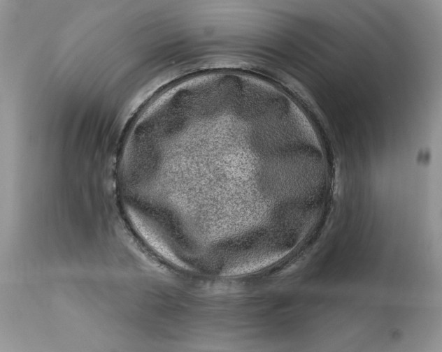 X0000113570786200910091438