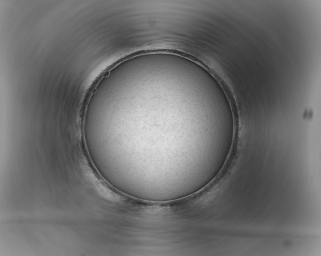 X0000113570789200910091437