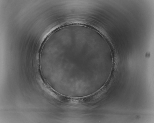 X0000113570790200910091437