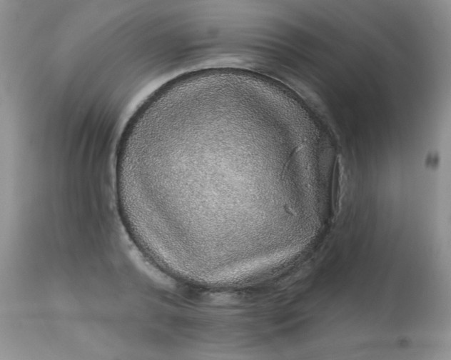 X0000113570792200910091437