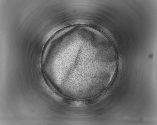 X0000113570794200910091437