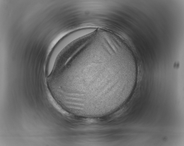 X0000113570796200910091437