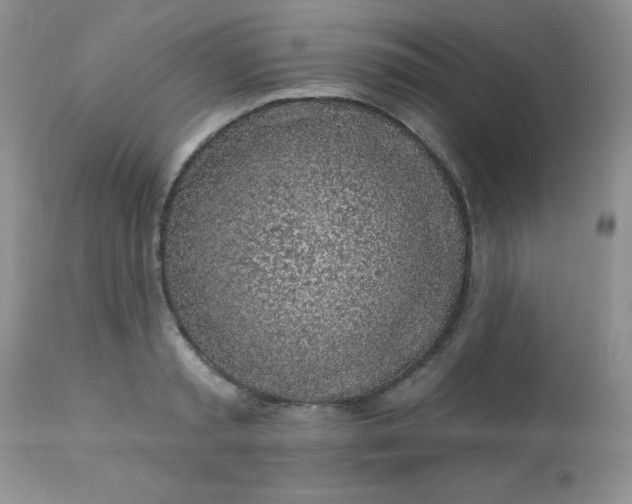 X0000113570797200910091437