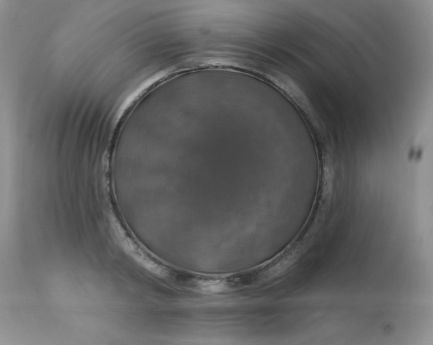 X0000113570798200910091437