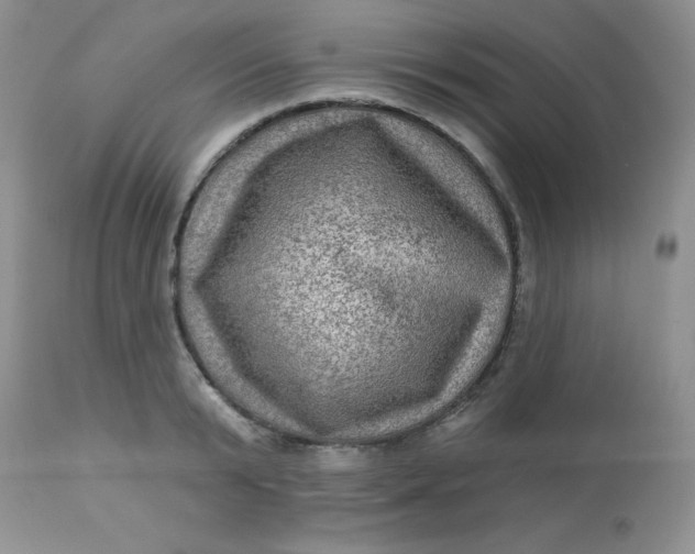 X0000113570799200910091437