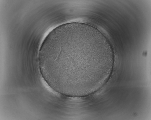 X0000113570800200910091437