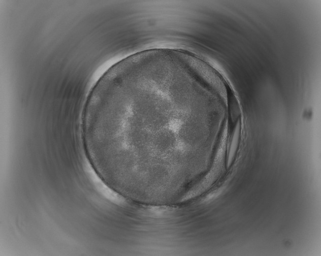 X0000113570803200910091437