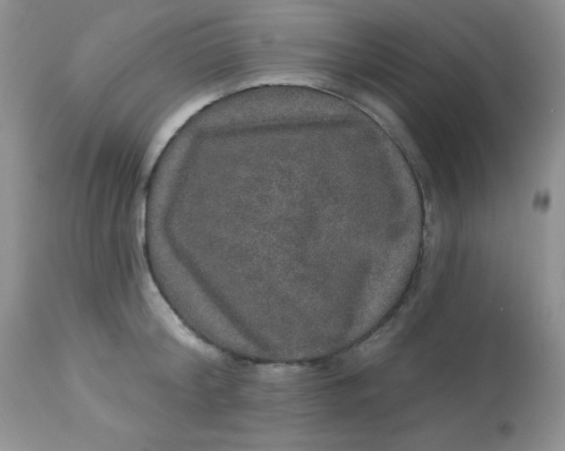 X0000113570804200910091437