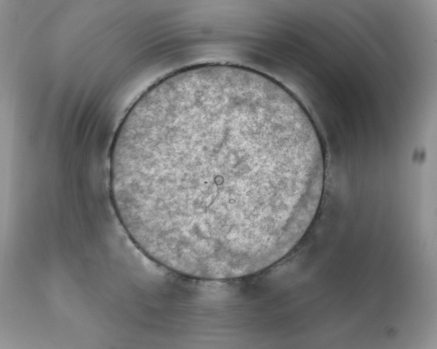 X0000113570807200910091437