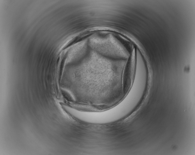 X0000113570809200910091437