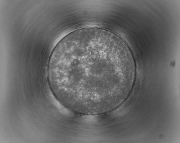 X0000113570810200910091437