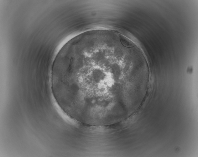 X0000113570811200910091437