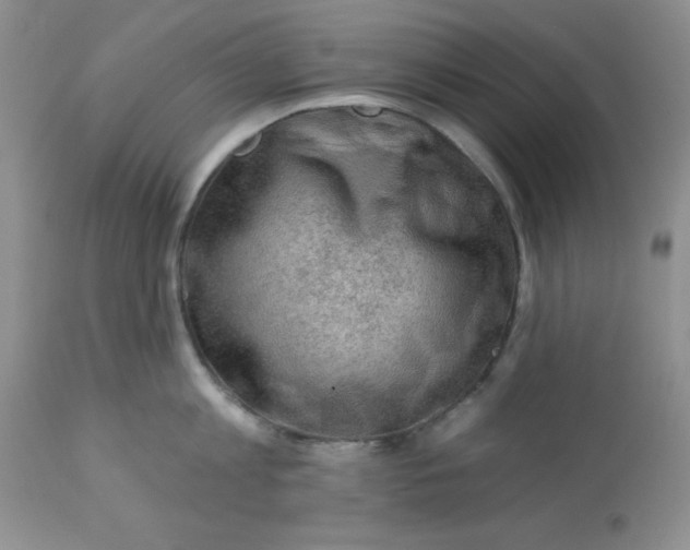 X0000113570813200910091437