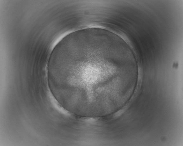 X0000113570814200910091437