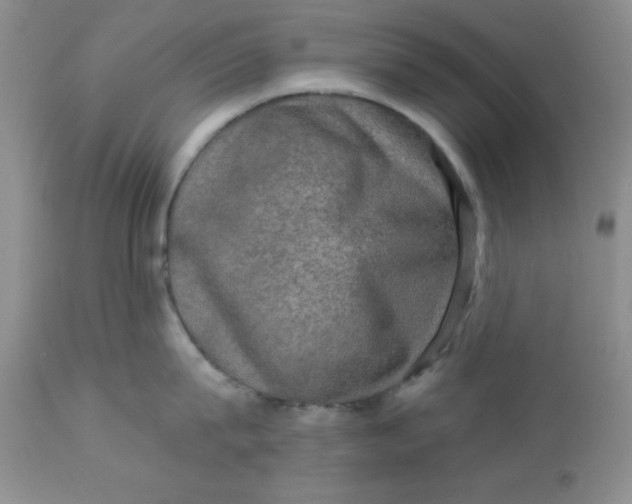 X0000113570815200910091437