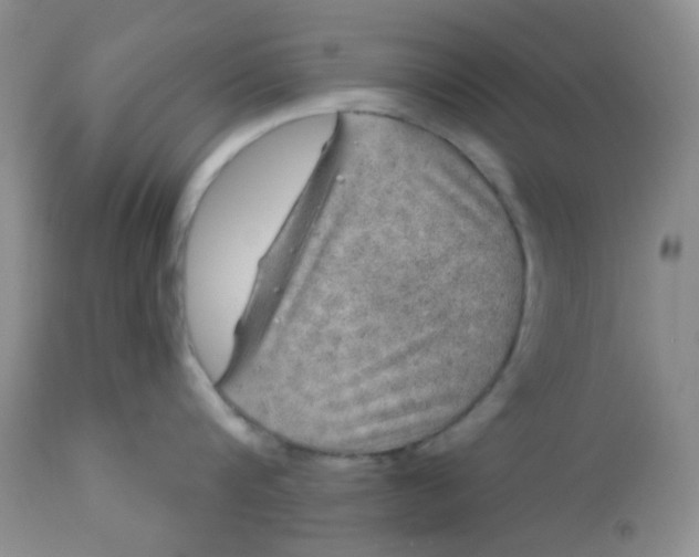 X0000113570816200910091437