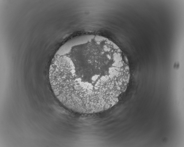 X0000113570817200910091436