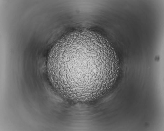 X0000113570818200910091436