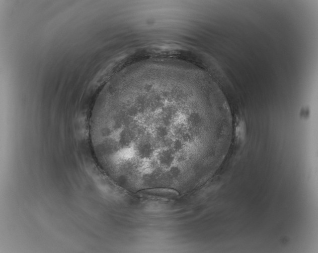 X0000113570819200910091436