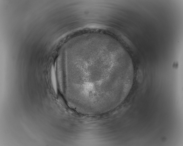 X0000113570821200910091436