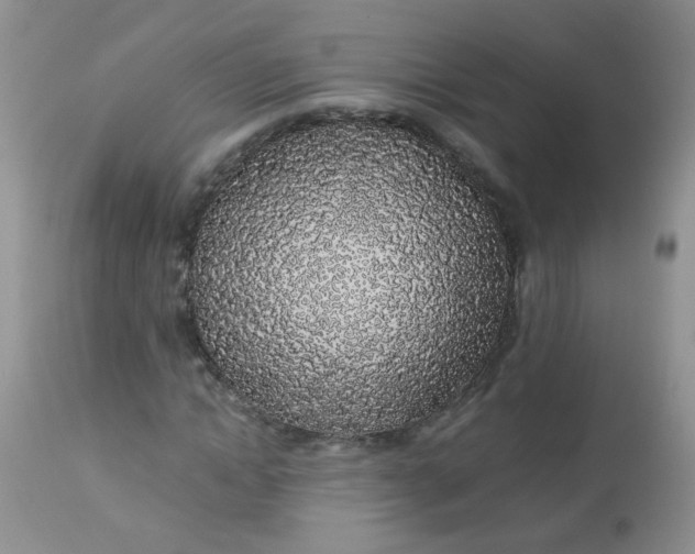 X0000113570822200910091436