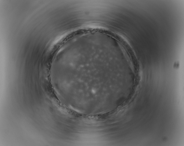 X0000113570823200910091436