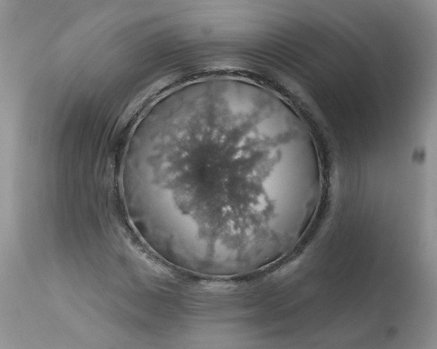 X0000113570825200910091436