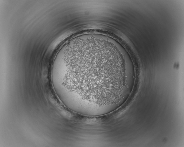 X0000113570826200910091436