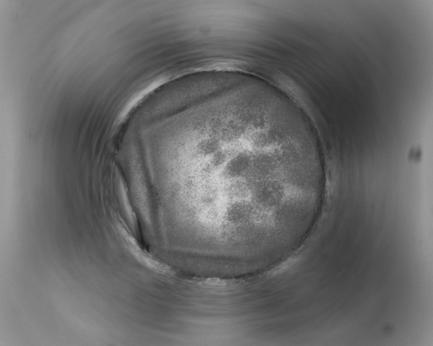 X0000113570827200910091436