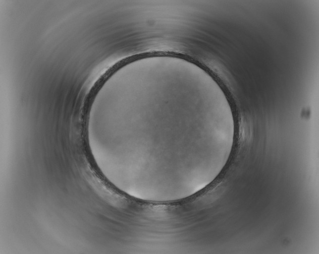 X0000113570828200910091436