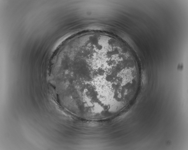 X0000113570829200910091436