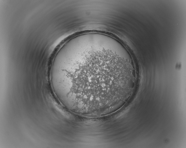 X0000113570830200910091436