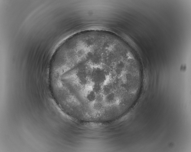 X0000113570831200910091436