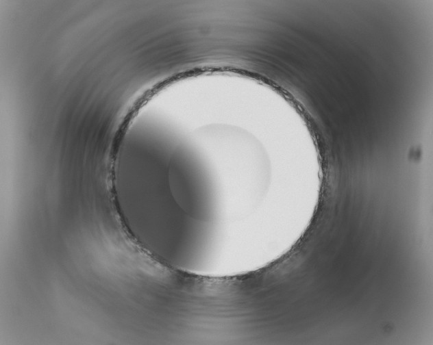 X0000113570832200910091436