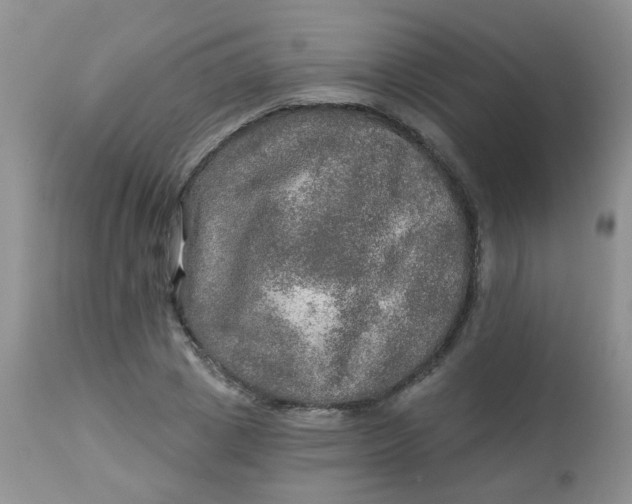 X0000113570833200910091436