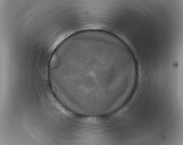 X0000113570834200910091436