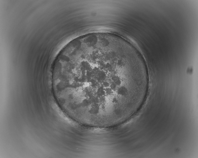 X0000113570835200910091436