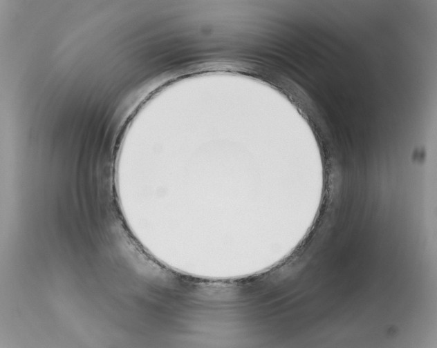 X0000113570836200910091436