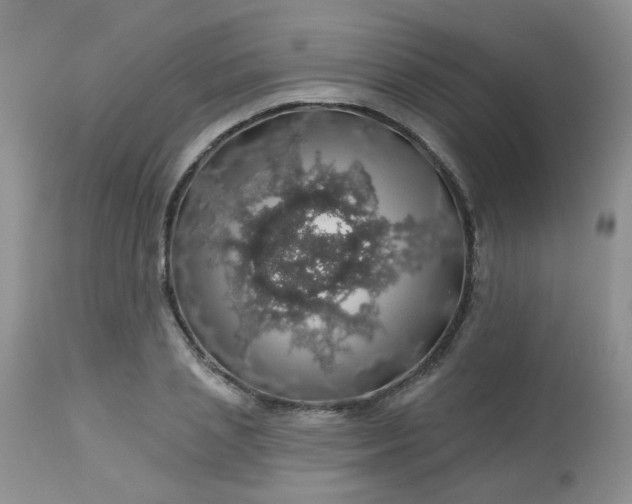 X0000113570837200910091436